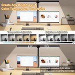 Topika Dual-Head LED Desk Lamp Eye-Care Clamp Light with Flexible Gooseneck