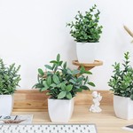 TopikaHome - Mini Artificial Greenery Potted Plants - 4 Pack for Home Decor