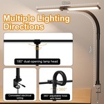 Topika Dual-Head LED Desk Lamp Eye-Care Clamp Light with Flexible Gooseneck