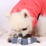 TopikaPet - Stainless Steel Non-Slip Pet Food & Water Bowls, Dog&Cat Bowls