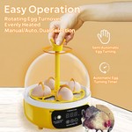 Topika 8-Egg Temperature Control Incubator with Clear Lid for Home Hatching