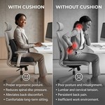 Topika - Ergonomic Back Support And Back Lumbar Support Pillow Setwgg