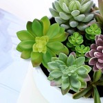 Topika - Fake Plants 16 Piece Artificial Succulent Set, Fake Plants room decor