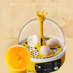 Topika 8-Egg Temperature Control Incubator with Clear Lid for Home Hatching