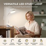 Topika Clip On Desk Lamp, Rechargeable LED Light for Bedside & Table Top